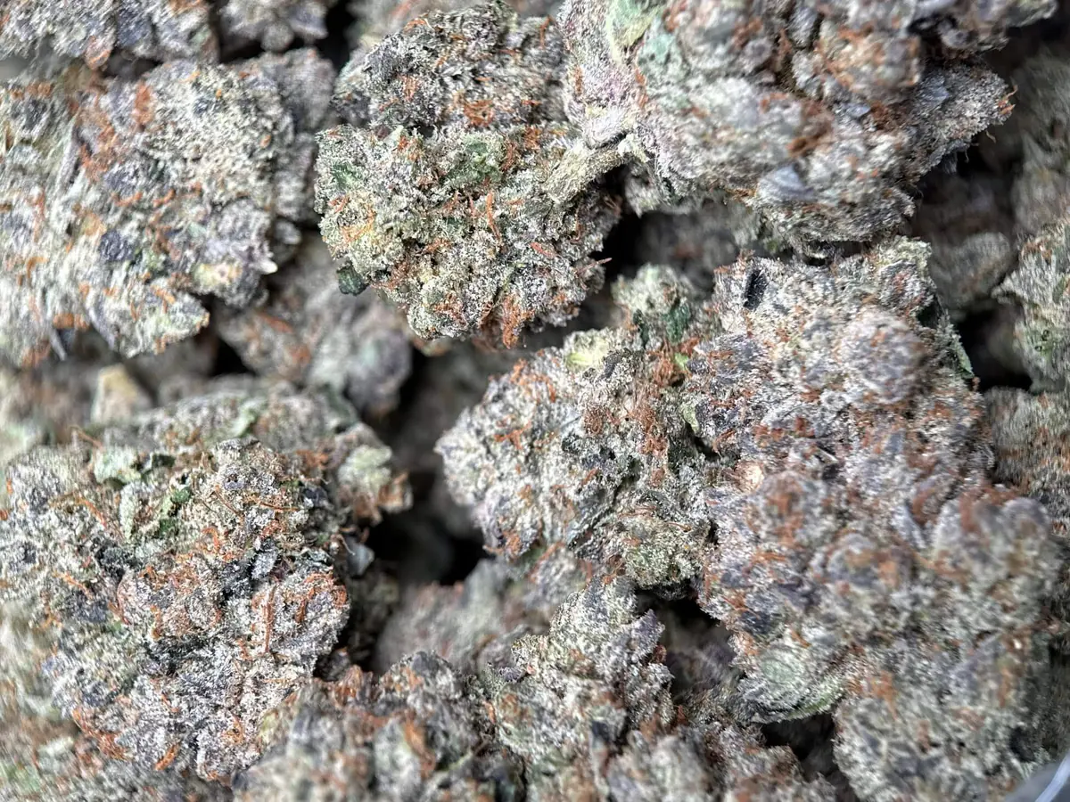 Pink Mega Glue photo 3