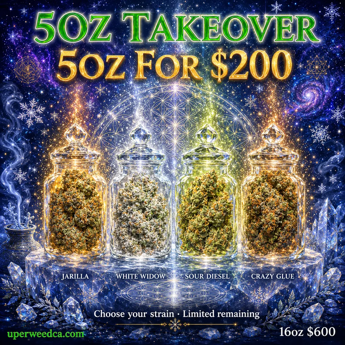 The 5OZ Takeover