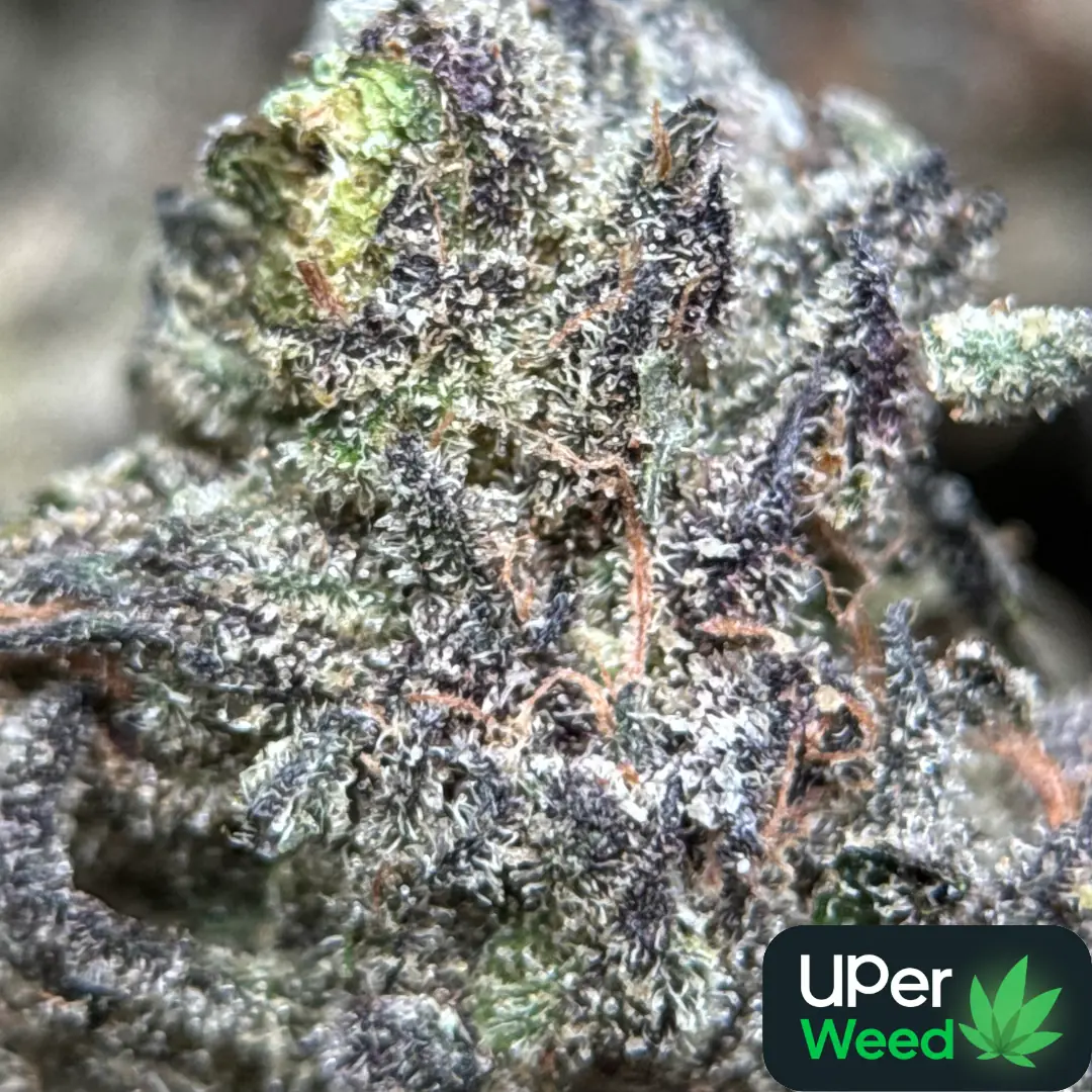 Super Stinky
