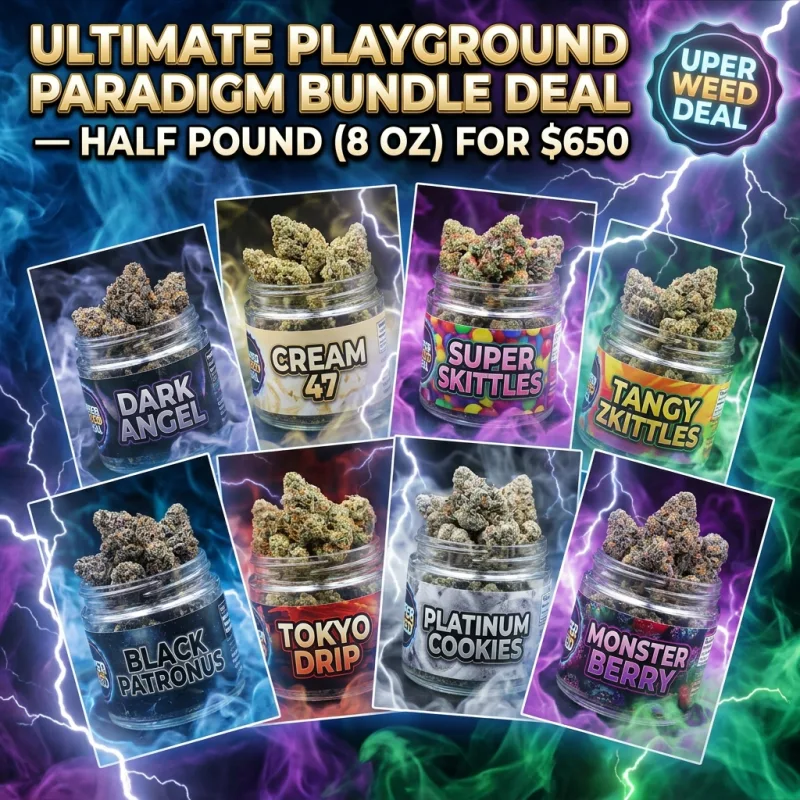 Ultimate Playground Paradigm Bundle Deal — Half Pound (8 Oz) photo 1