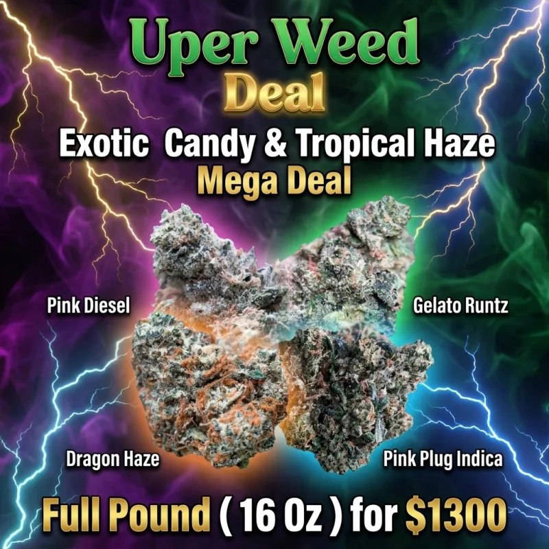 Exotic Candy & Tropical Haze Mega Deal – Full Pound ( 16 Oz ) for $1300 photo 1
