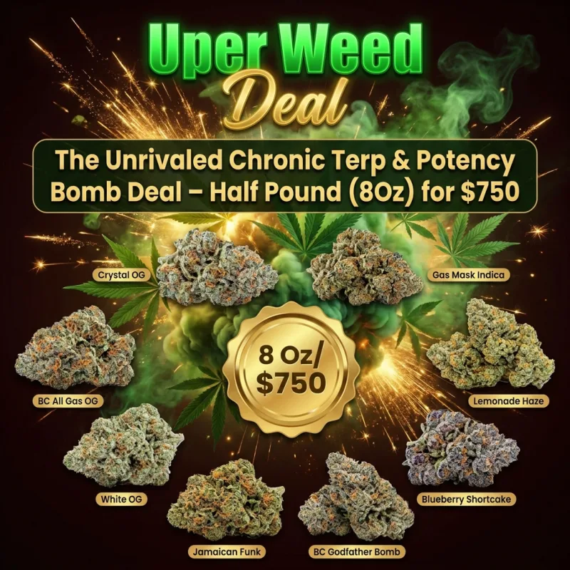 The Unrivaled Chronic Terp & Potency Bomb Deal – Half Pound ( 8Oz ) for $750 photo 1