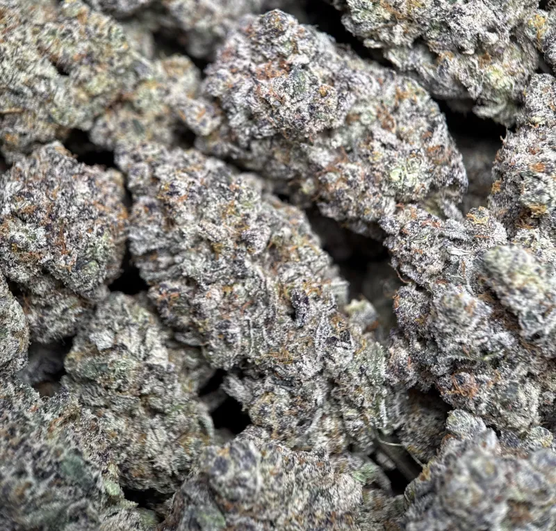 Amnesia Gold 6A+ photo 3