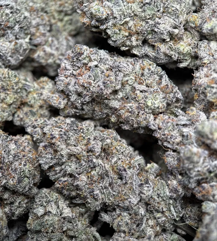 Amnesia Gold 6A+ photo 9