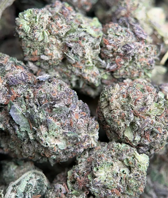 Astro Mints photo 3