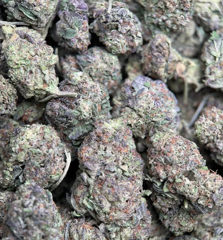 Astro Mints photo 4