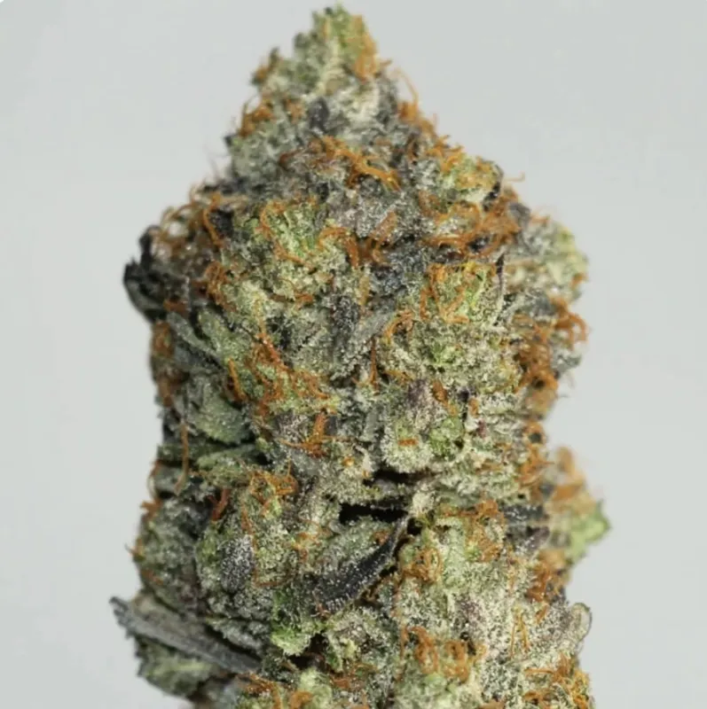 Astro Queen photo 1