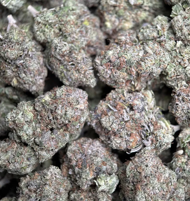 BC Pink Gas photo 2