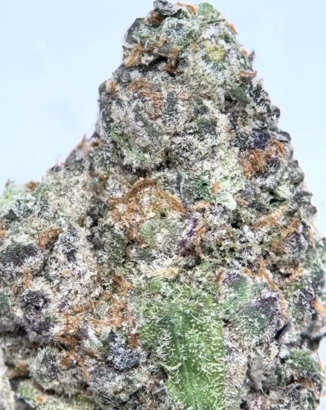 Black Ghost OG photo 4