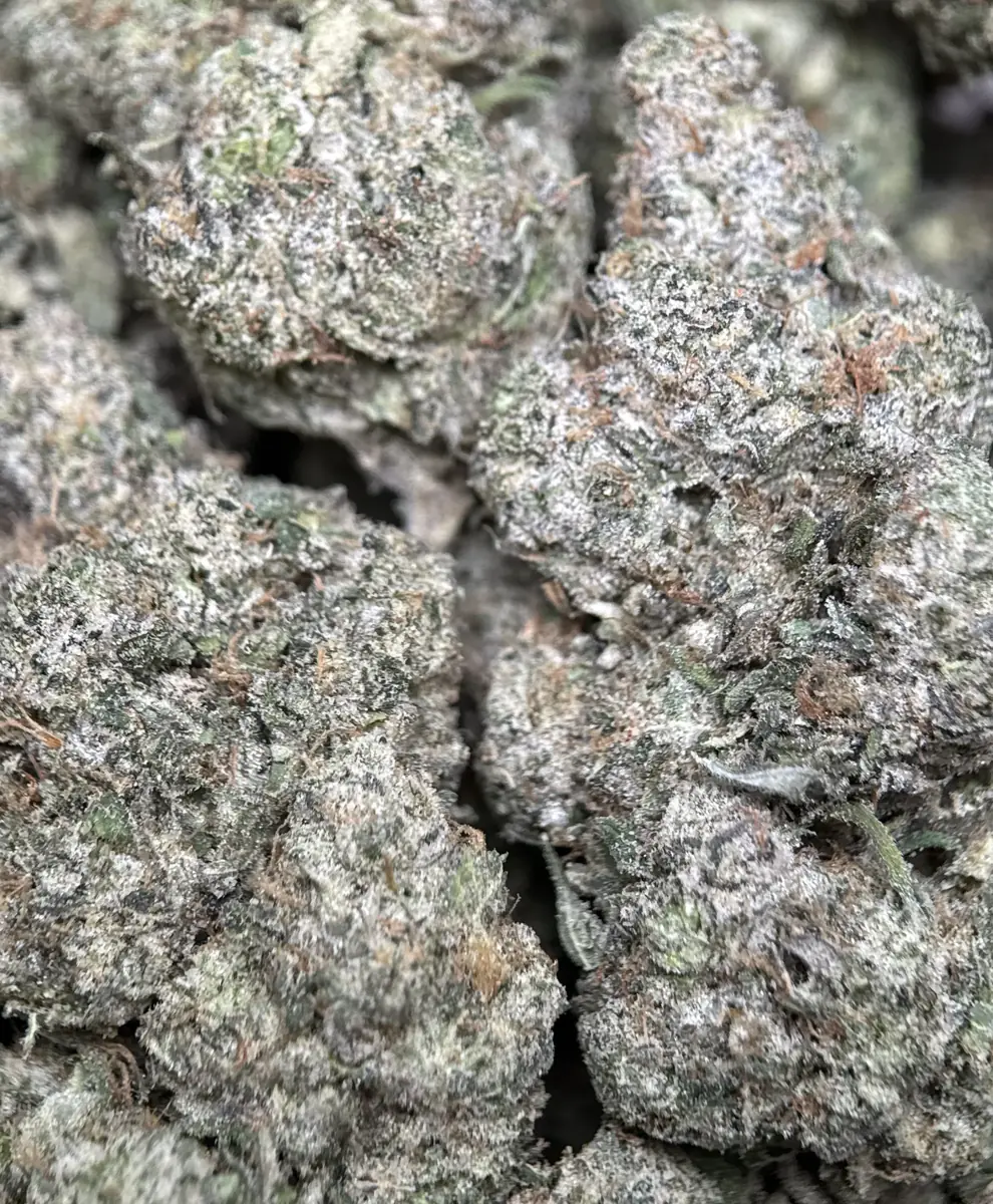 Blue City Diesel photo 3