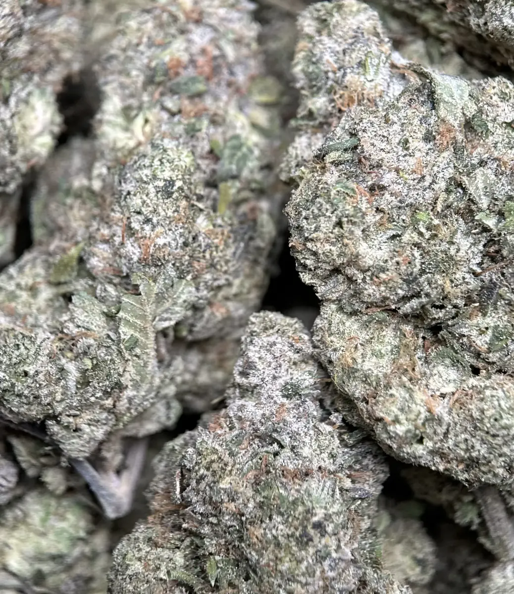 Blue City Diesel photo 5