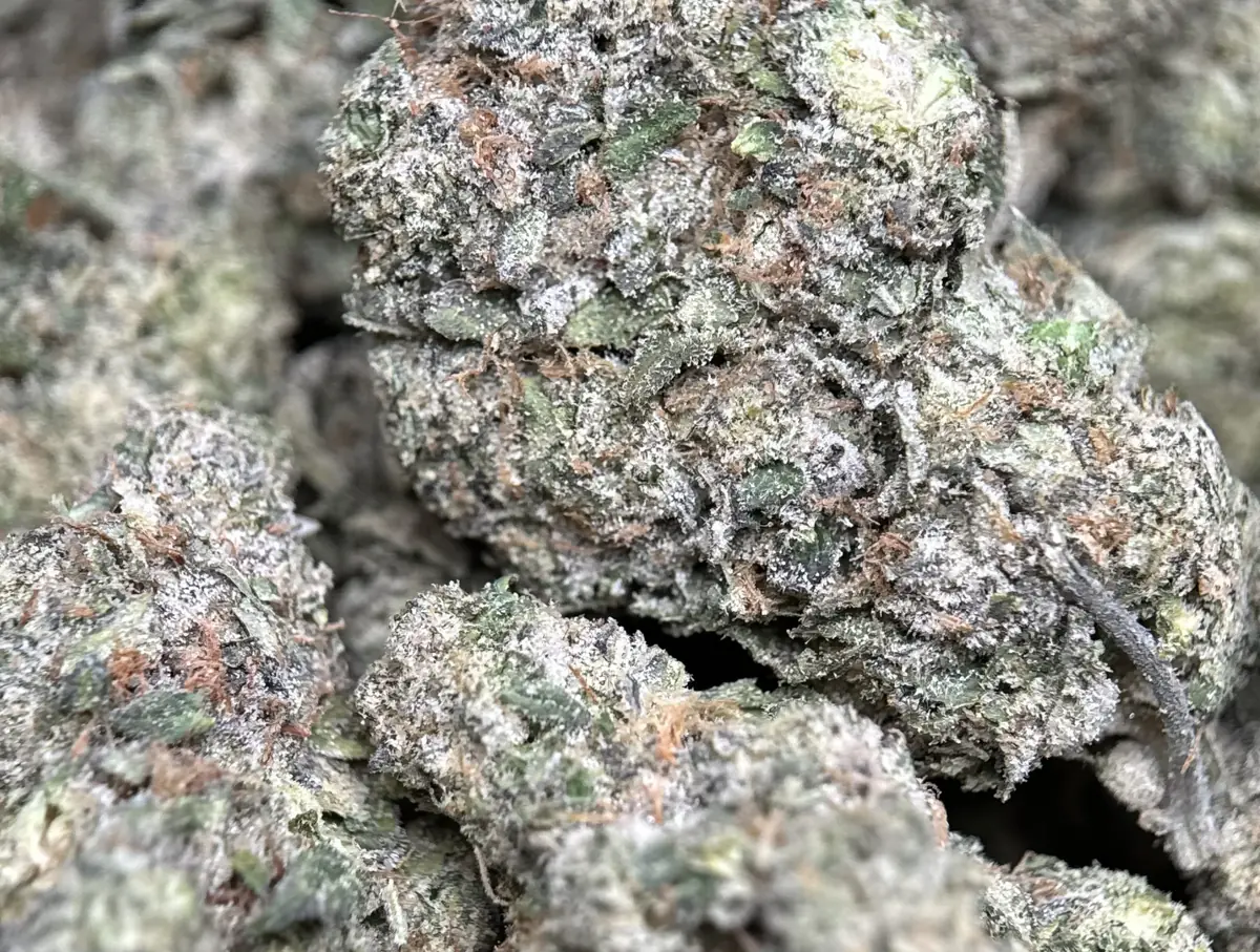 Blue City Diesel photo 6