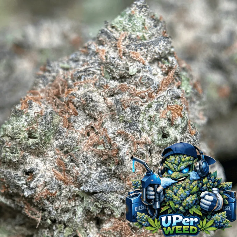 Blue Diesel photo 2