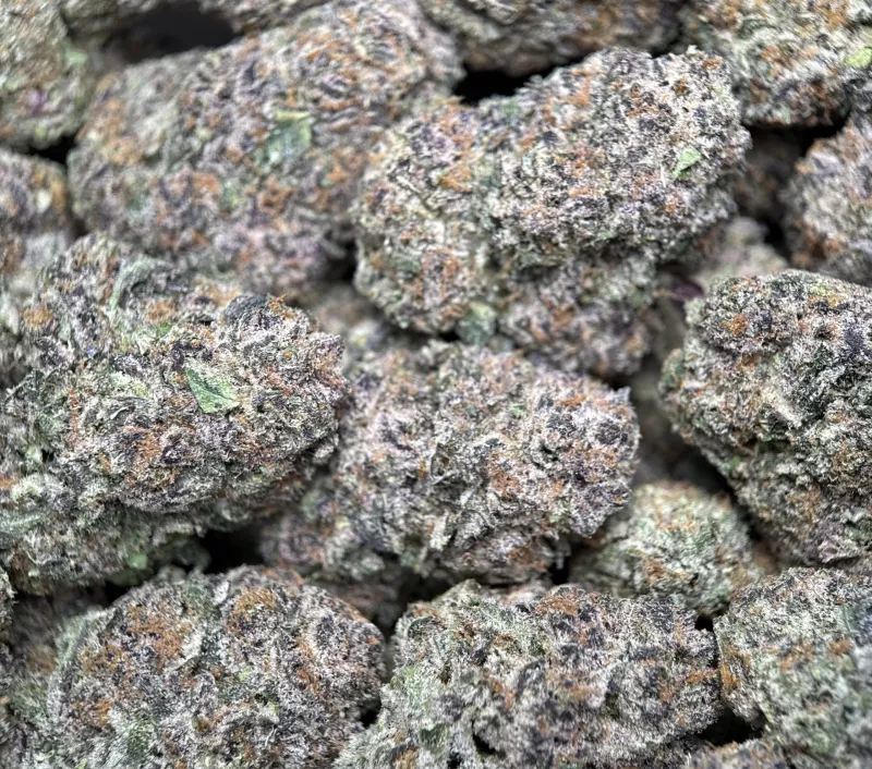 Dynamite Diesel photo 6