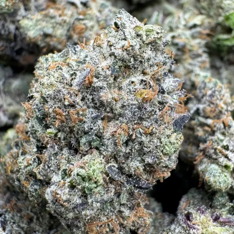 Gas Cream Cake photo 1