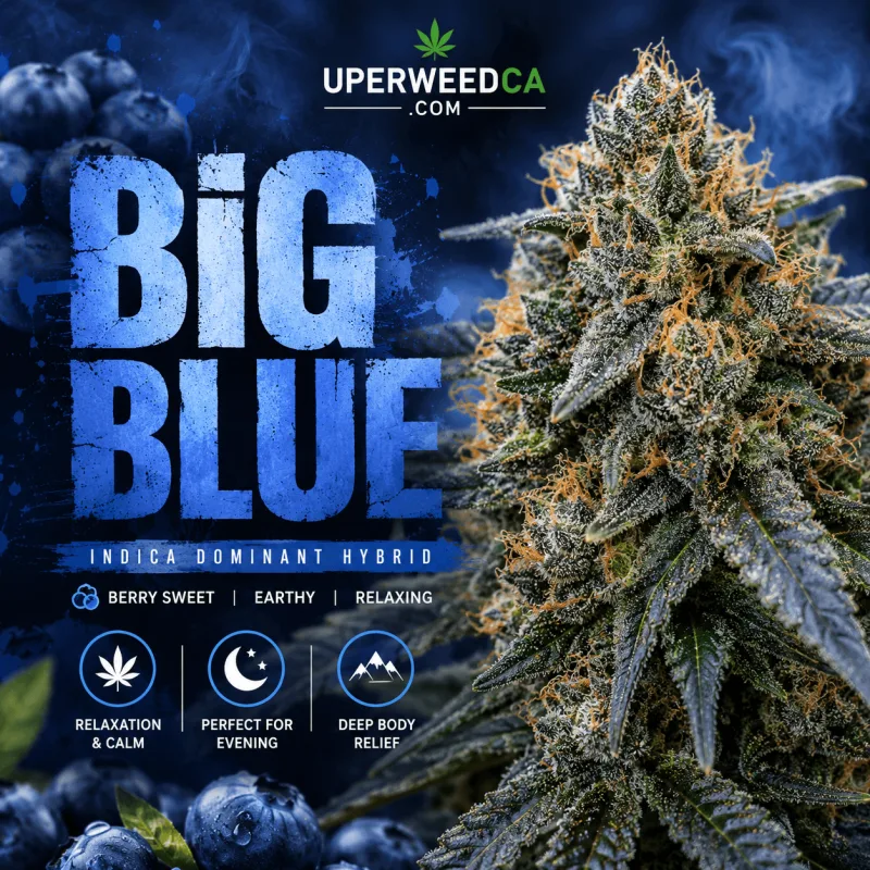 Big Blue photo 1