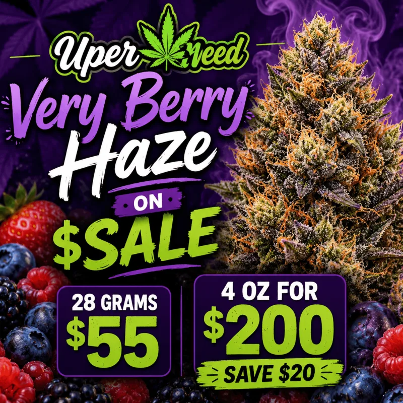 Very Berry Haze photo 1