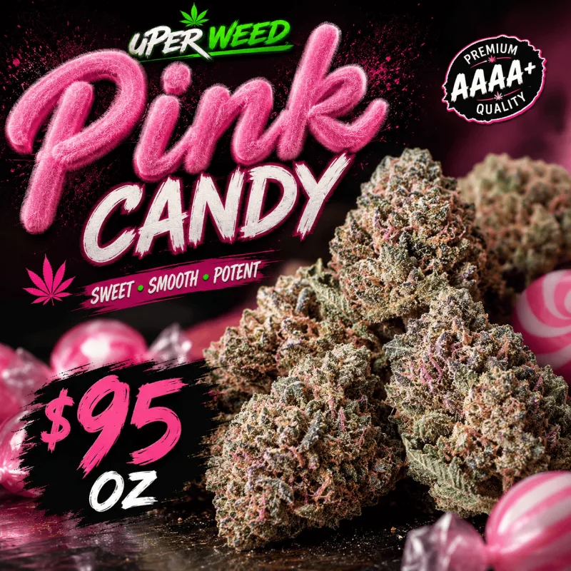 Pink Candy photo 1