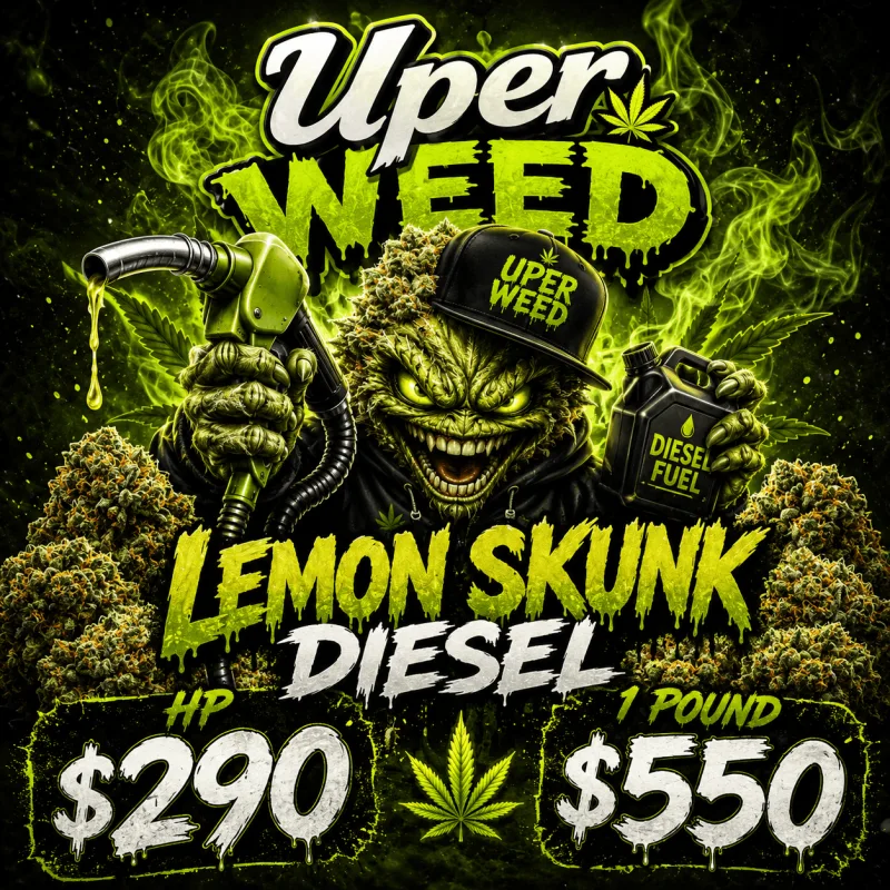 Lemon Skunk Diesel AA photo 1