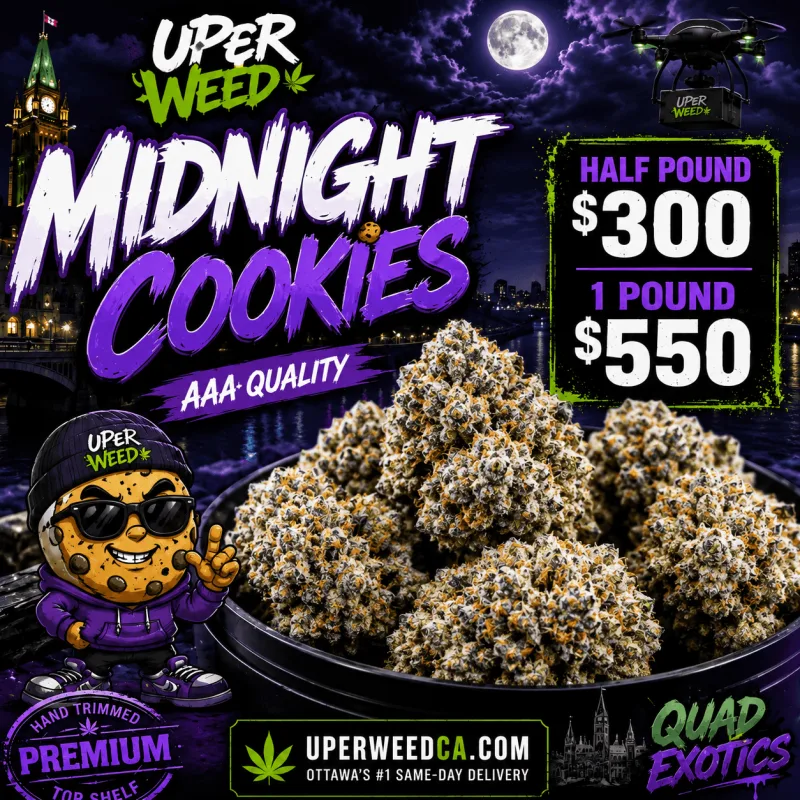 Midnight Cookies photo 1