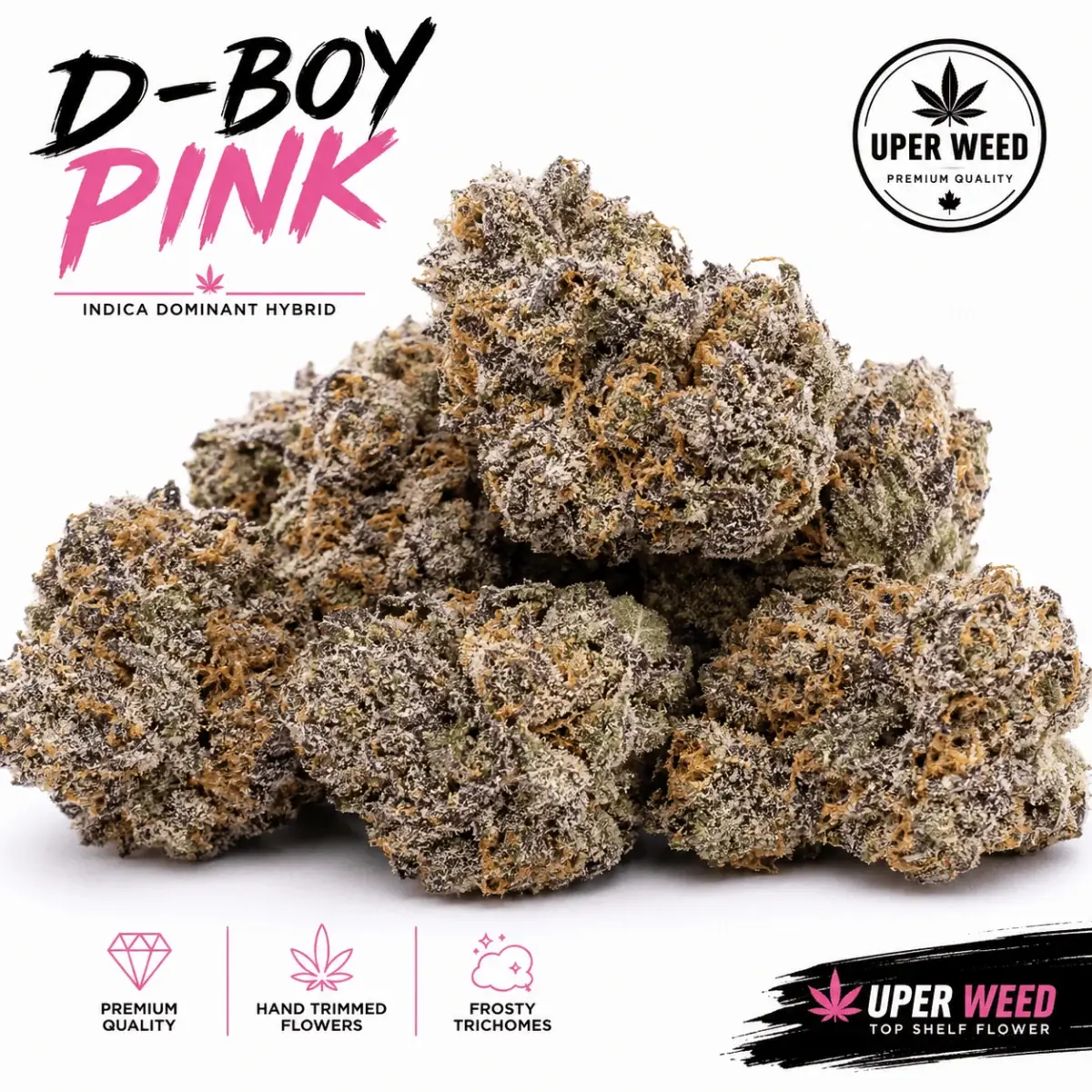 D-Boy Pink