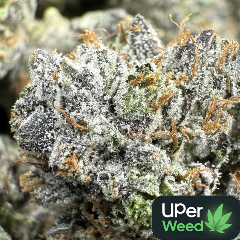 Island Pink Kush photo 1