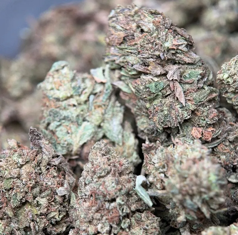 Muffin Indica - 4Oz Bulk Deal for $200 photo 3