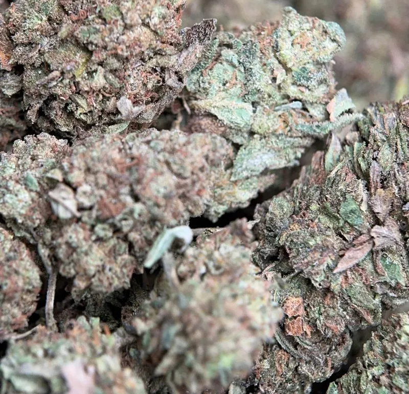 Muffin Indica - 4Oz Bulk Deal for $200 photo 4