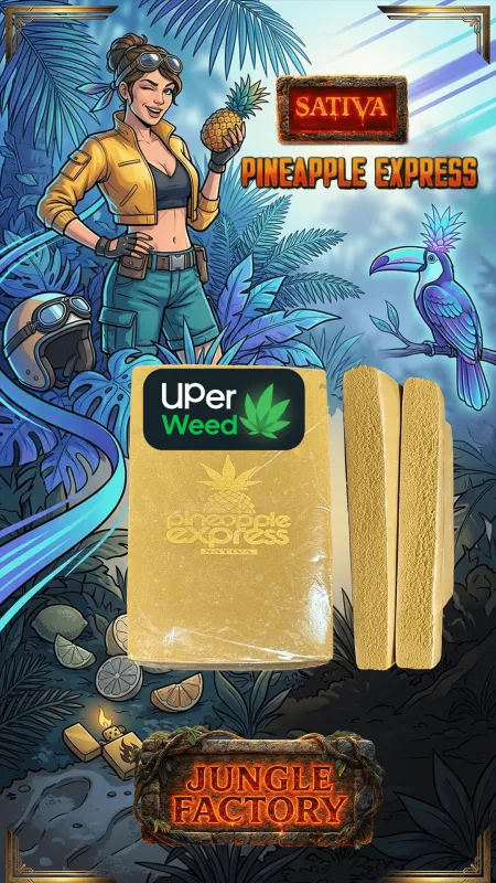Pineapple Express Hash photo 1