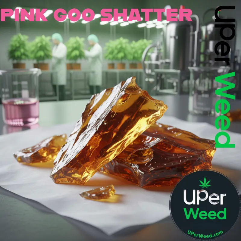 Pink Goo Shatter photo 1