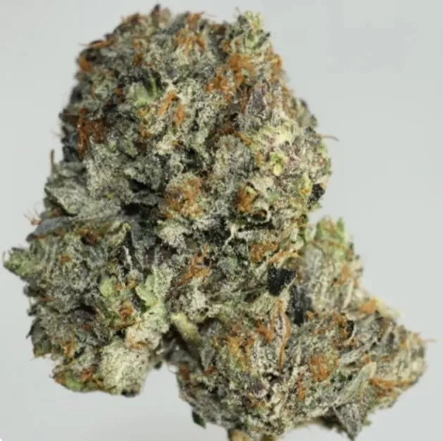 Pink Morphine photo 2