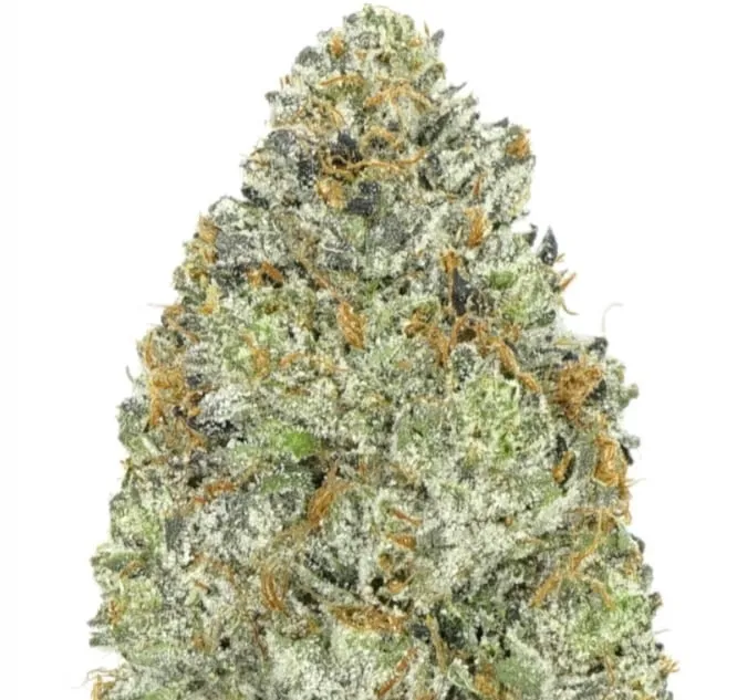 Rock Bubba - BC Bricks photo 1